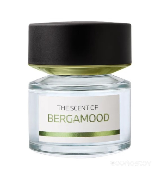 Вода парфюмерная 100мл BERGAMOOD BMW