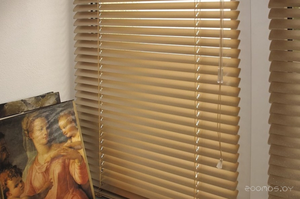 Жалюзи 40х160 горизонтальные 