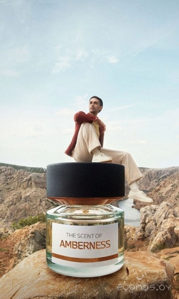 Вода парфюмерная 50мл AMBERNESS BMW