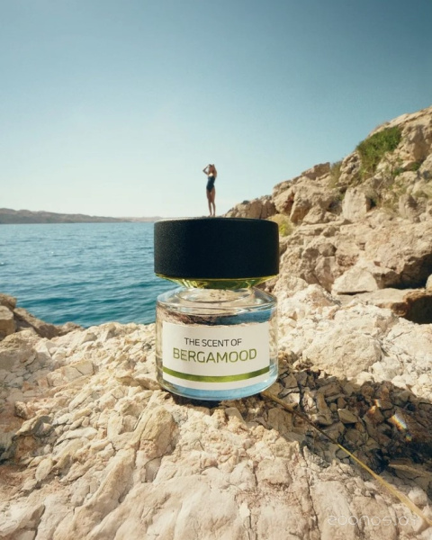 Вода парфюмерная 100мл BERGAMOOD BMW