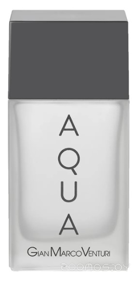 Вода туалетная 100мл Aqua мужская 058209