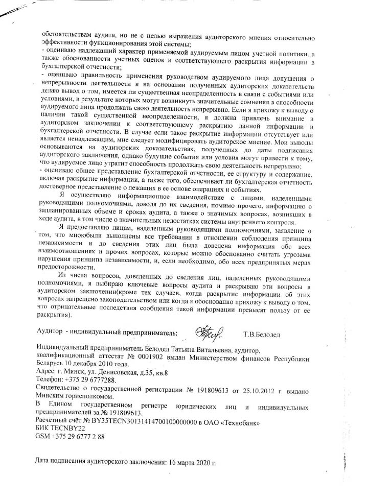 Аудиторское заключение-3.jpg