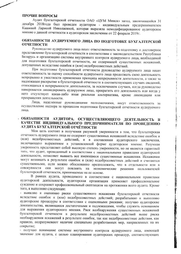 Аудиторское заключение-2.jpg