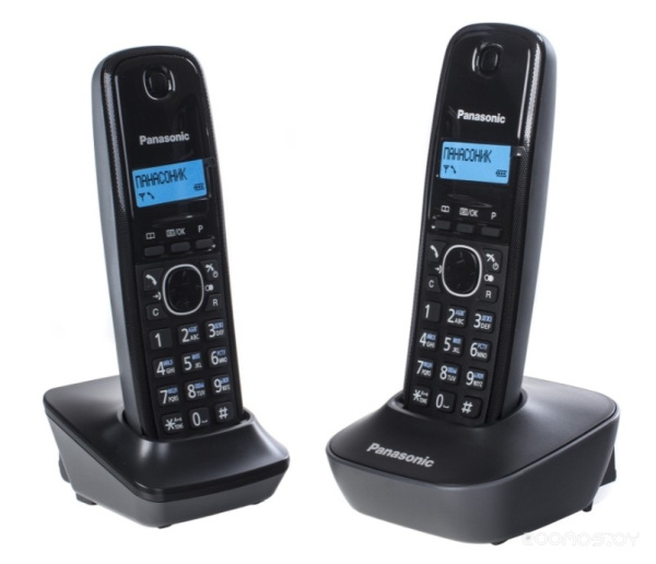 Радиотелефон Panasonic KX-TG1612RUH   