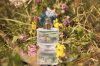 Вода 20мл парфюмерная WILD FLOWER BETTY BARCLAY 339006