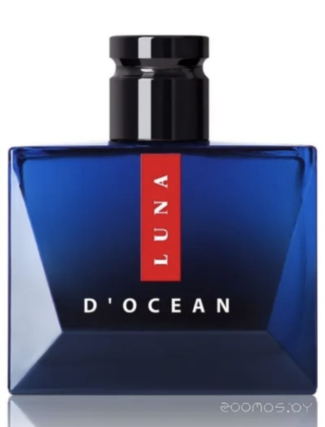 Вода парфюмерная 100мл для мужчин Luna d`Ocean 019006