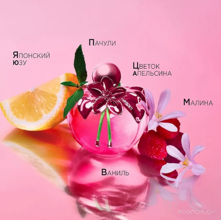 Вода 80мл парфюмерная NR-Nina Illusion
