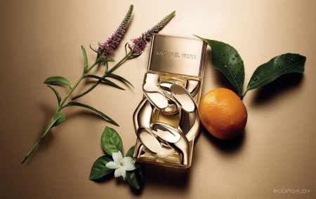 Вода парфюмерная MICHAEL KORS Pour Femme 30 мл 450428