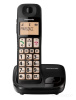 Телефон DECT Panasonic KX-TGE110UCB