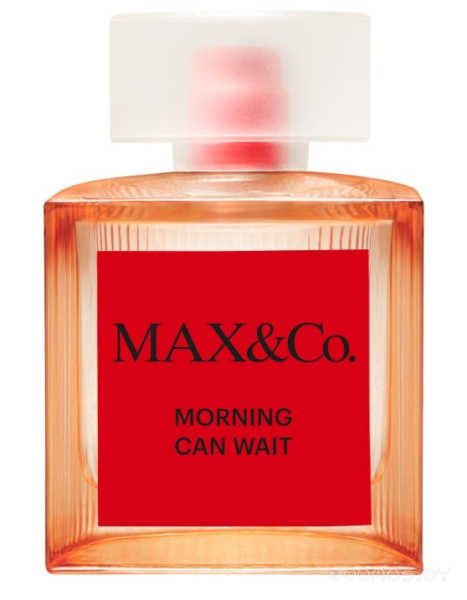 Вода парфюмерная 50мл MORNING CAN WAIT MAX&Co. 002479