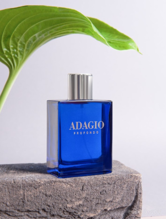 Вода парфюмерная для мужчин 100мл Adagio Profondo (Адажио Профондо) 017309