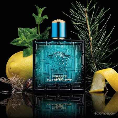 Вода парфюмерная 100мл Versace Eros 740110