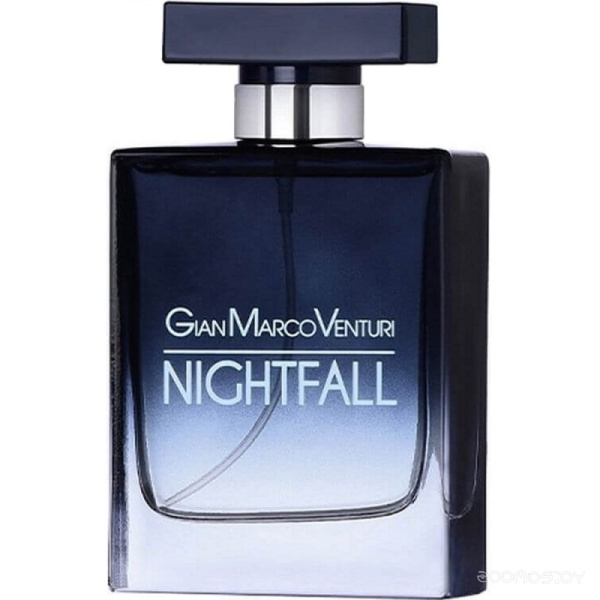 GIAN MARCO VENTURI Вода парфюмерная NIGHTFALL 100мл 66976