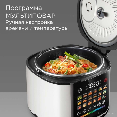 Мультиварка REDMOND MC102