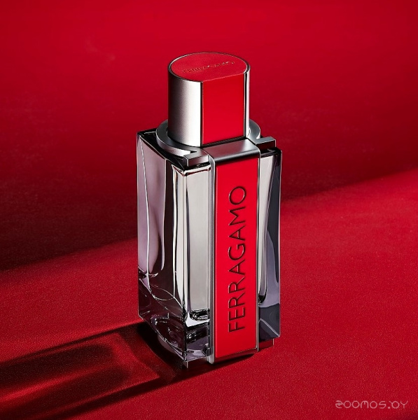 Вода парфюмерная 100мл мужская SF FERRAGAMO RED LEATHER