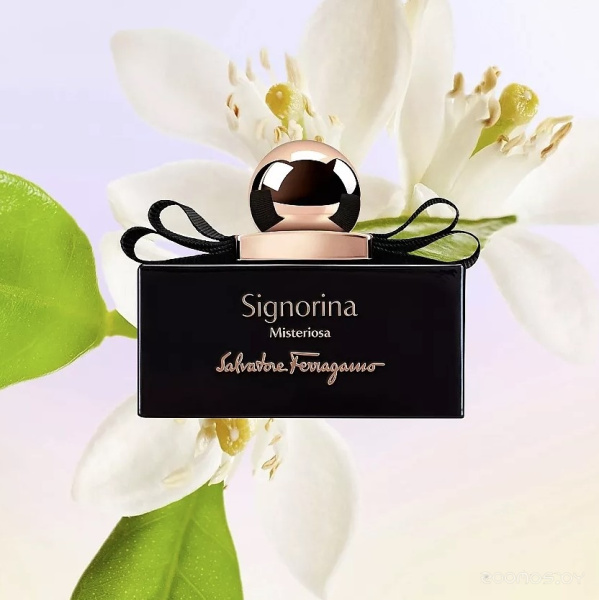 Вода парфюмерная 30мл SF-Signorina Misteriosa женская 41100