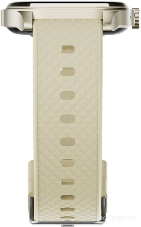 Смарт-часы Tecno Watch 3 Active Champagne TSP-W03A Gold