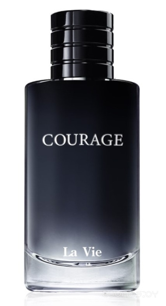 Вода парфюмерная 100мл для мужчин Courage Кураж 847;016050