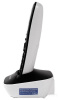 Радиотелефон Dect Panasonic KX-TG1611RUW 
