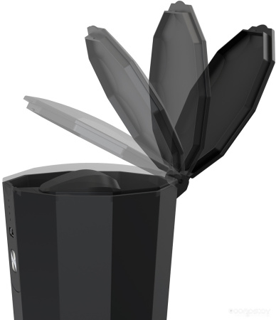 Кофемолка MIRU KACG01 KACG01
