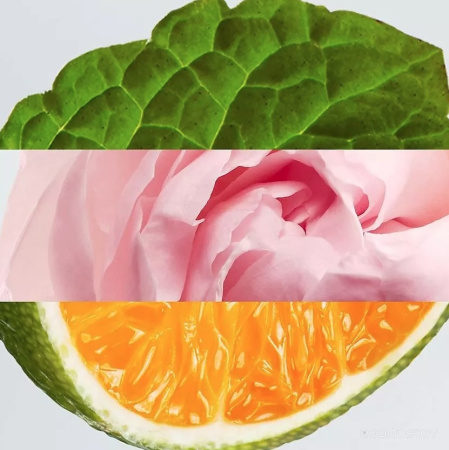Вода парфюмерная 35мл LACOSTE L.12.12 ROSE