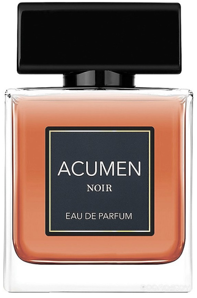 Вода парфюмерная 100мл Acumen Noir Экьюмэн Нуар 015459