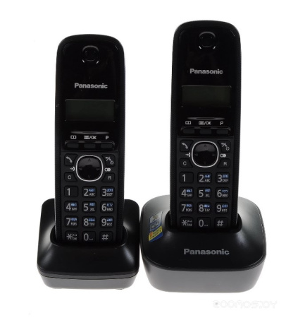 Радиотелефон Panasonic KX-TG1612RUH