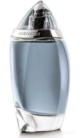 Вода парфюмерная 100 мл POUR HOMME 796118