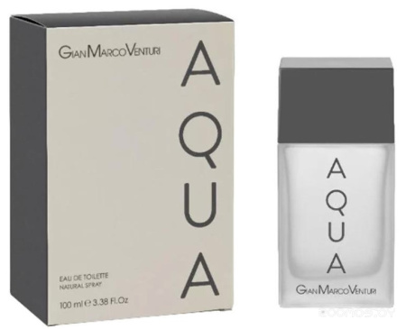Вода туалетная 100мл Aqua мужская 058209