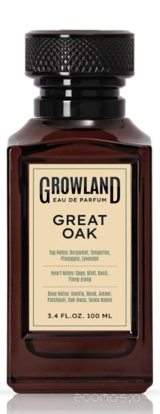 Вода парфюмерная 100мл для мужчин Great Oak 021955